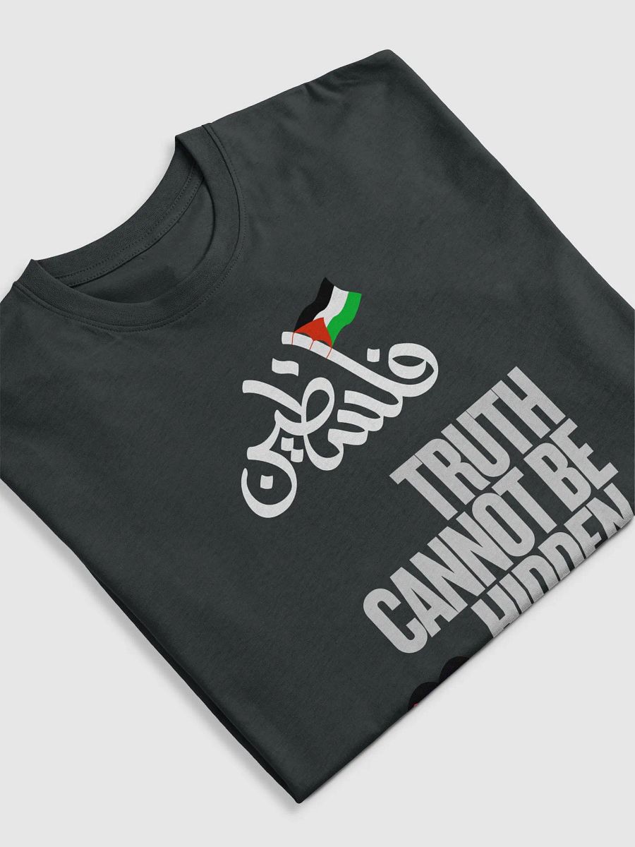 Palestinian Flag Fist Graphic Tee | Truth cannot be hidden. product image (14)