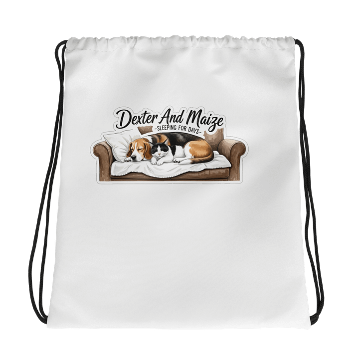Dex and Maze Drawstring bag product image (1)