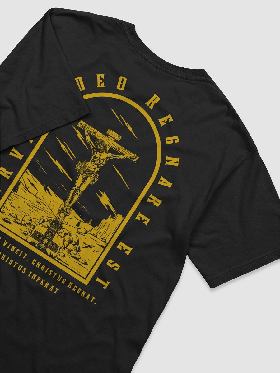 To Serve God is to Reign! product image (1)