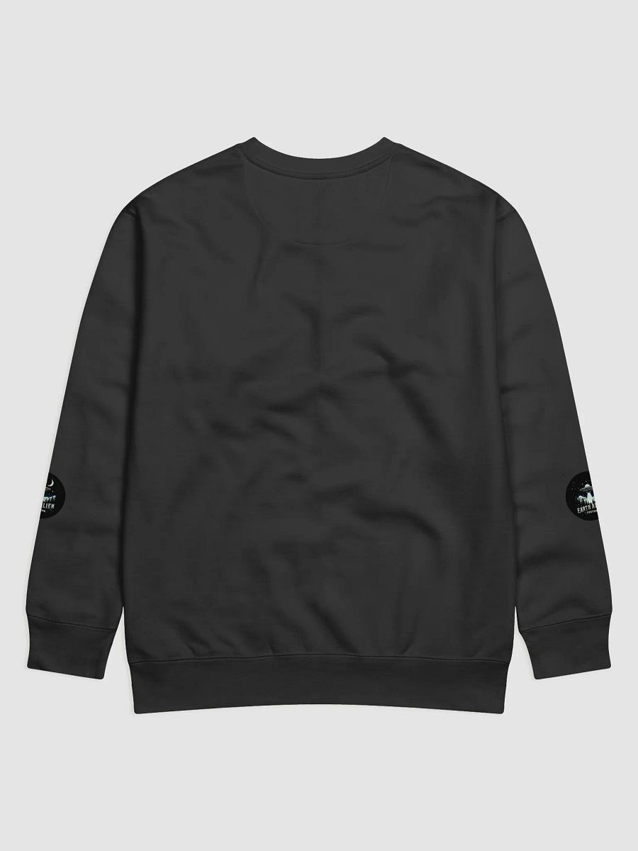 Galactic Connection Premium Sweatshirt product image (2)