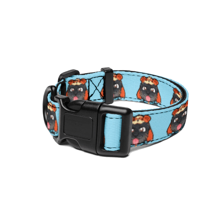 Shellbee Pet Collar product image (1)