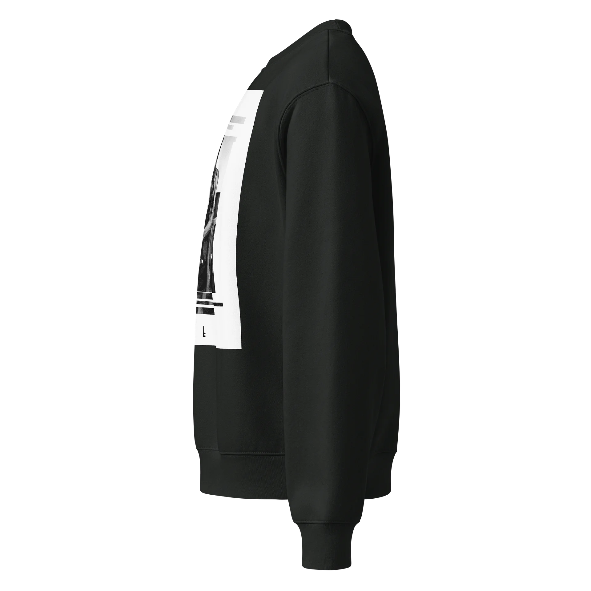 Abnl-Fela Oversized Sweatshirt product image (3)