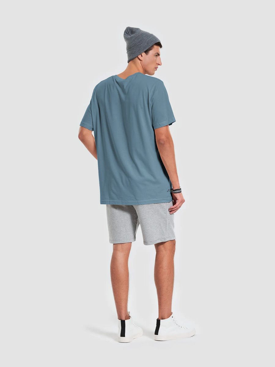 Silly Goose - Tee (BB x BC) product image (27)
