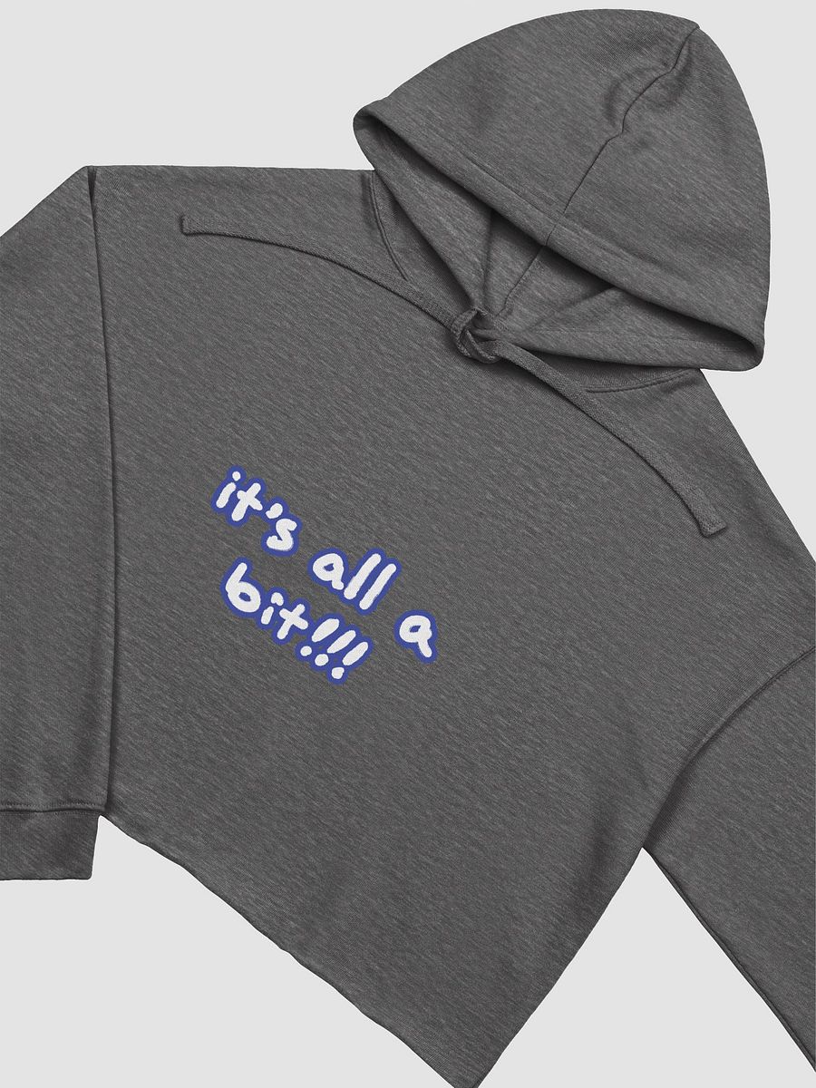 “It’s all a bit!!!” (lined design, #3E4B9D) fleece cropped hoodie product image (5)
