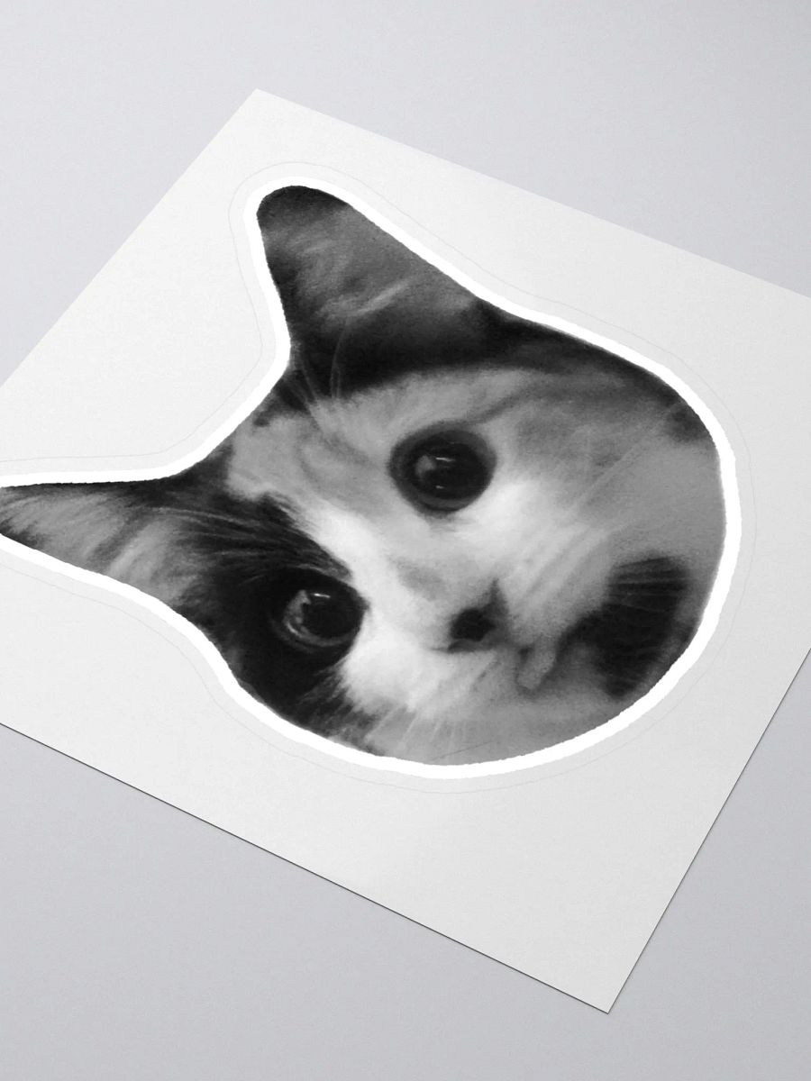 SPOINS - Sticker product image (3)