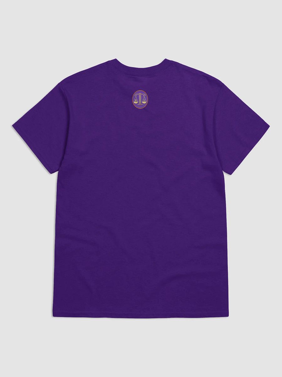 Currently pursuing... t-shirt product image (4)