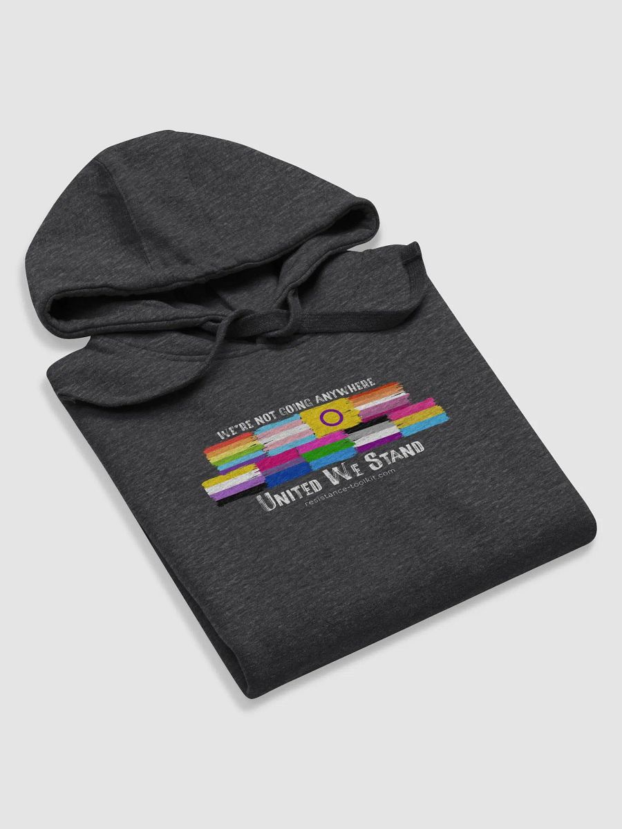 United We Stand - Hoodie product image (4)