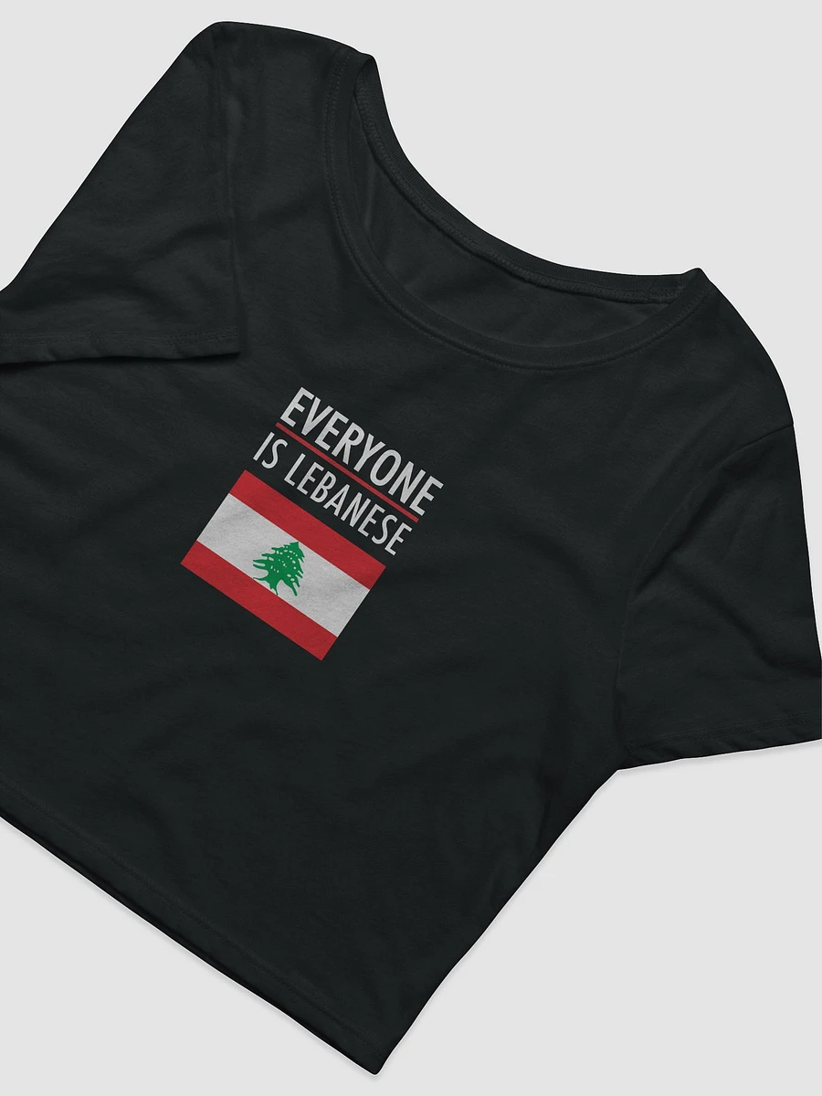 Everyone is Lebanese crop top product image (2)