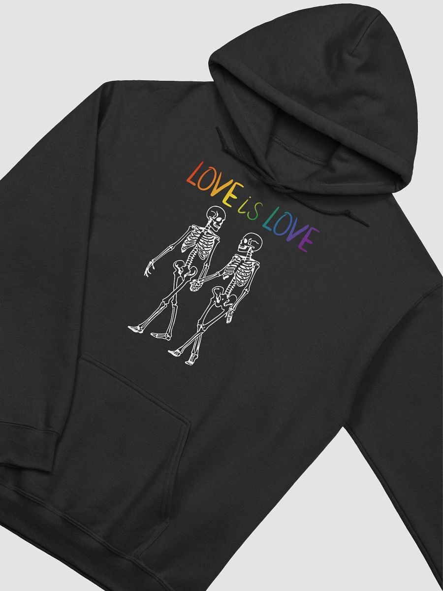 Love is Love Hoodie product image (3)