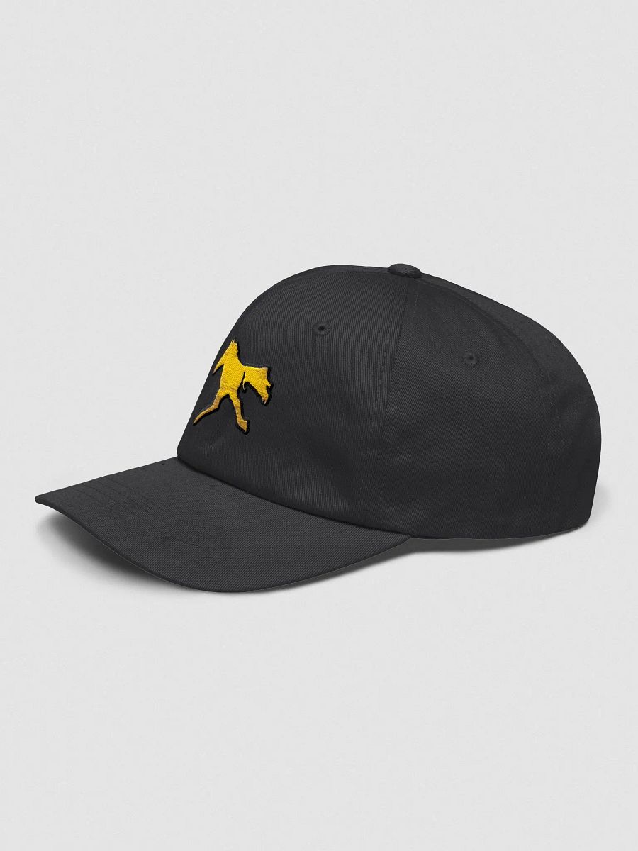 The Horse Run Monthly - Embroidered Hat product image (5)
