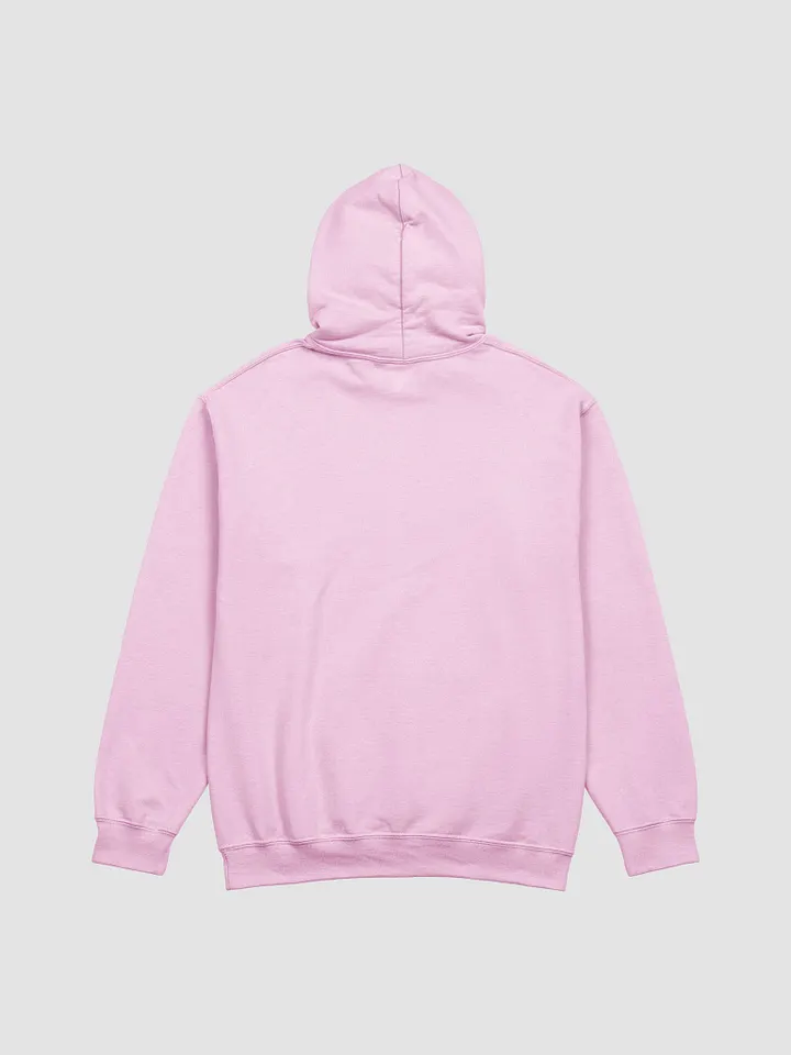 GUILLOVELO TURTLE HOODIE product image (2)