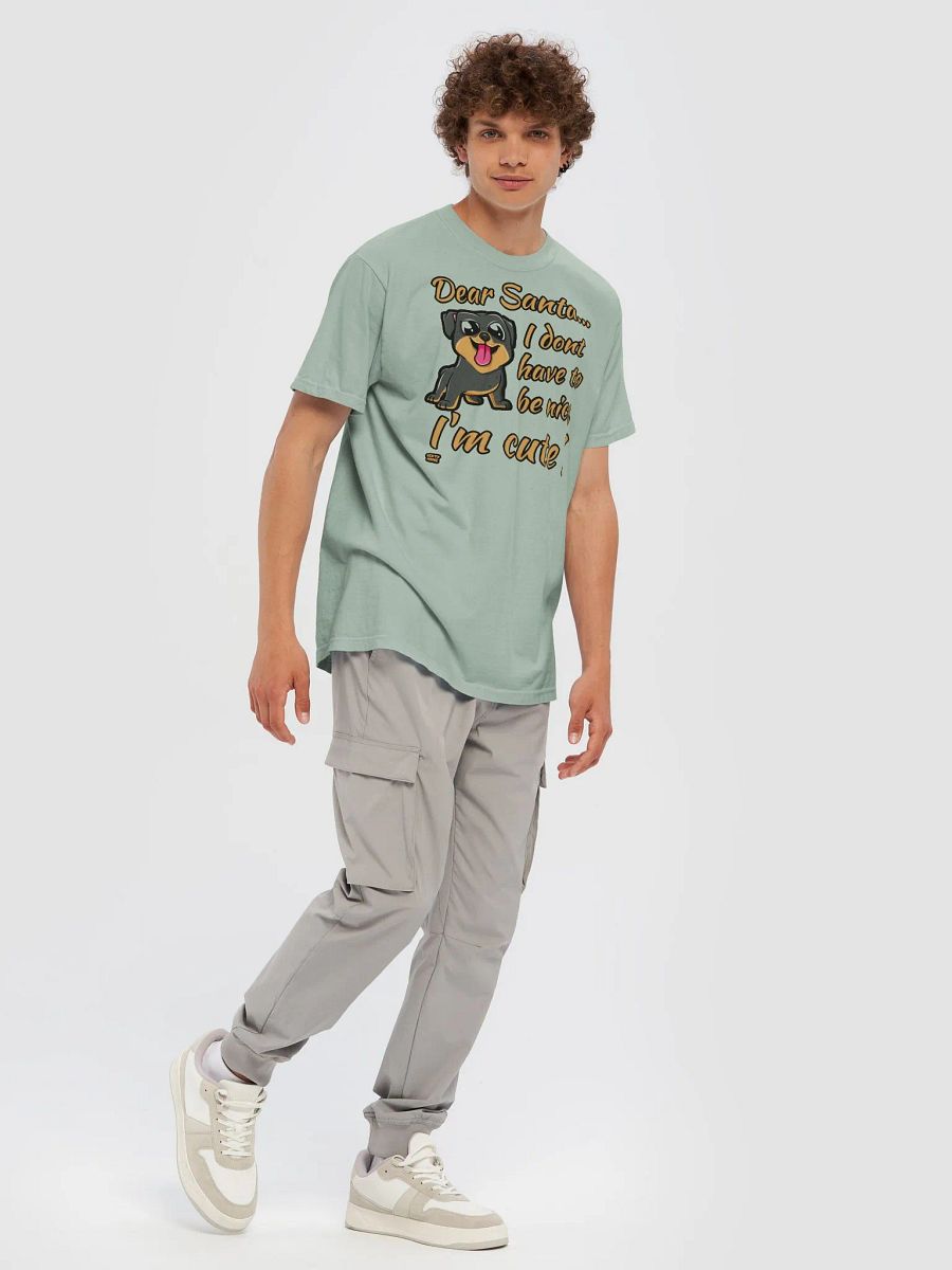 DEAR SANTA, I DON'T HAVE TO BE NICE, I'M CUTE! product image (85)