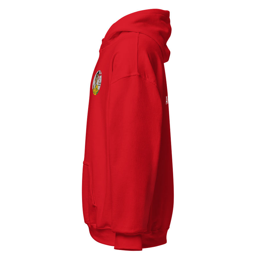 ARSENAL FAN - TEA UNISEX HOODIE (RED) product image (3)