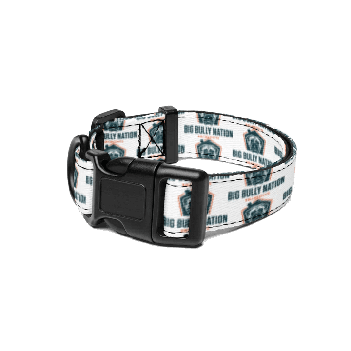 BBN Logo 1 Pet Collar product image (1)