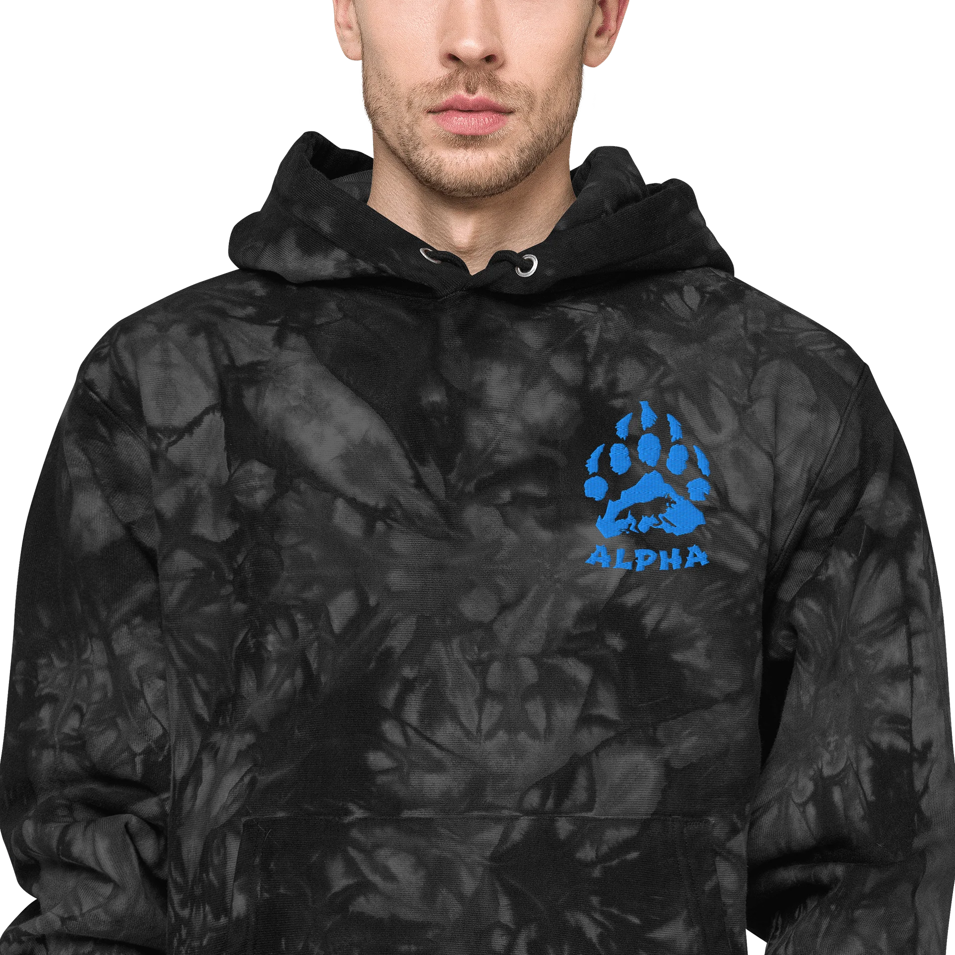 Alpha hoodie product image (2)