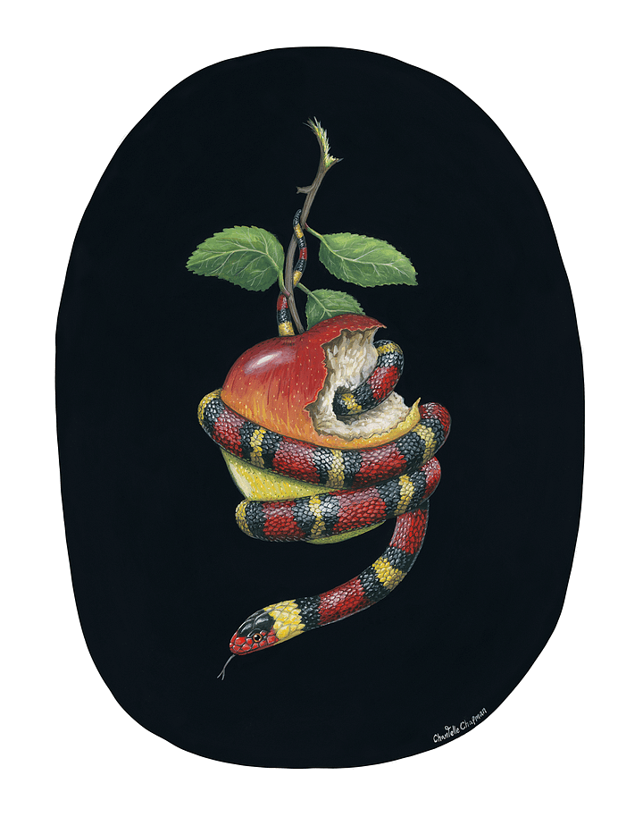 They'll Tell You It's Dangerous (Scarlet Kingsnake) - Art Print product image (1)