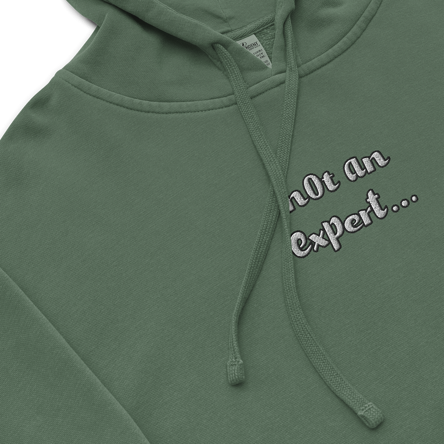 "not an expert..." Official Charcoal Hoodie product image (5)