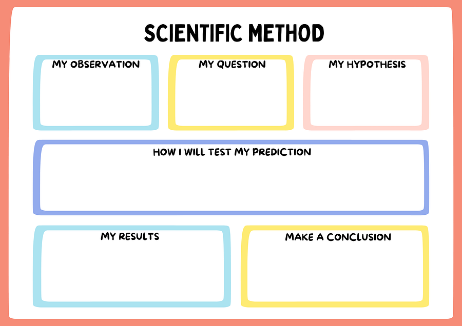 Scientific Method Graphic Organizer Worksheet product image (1)