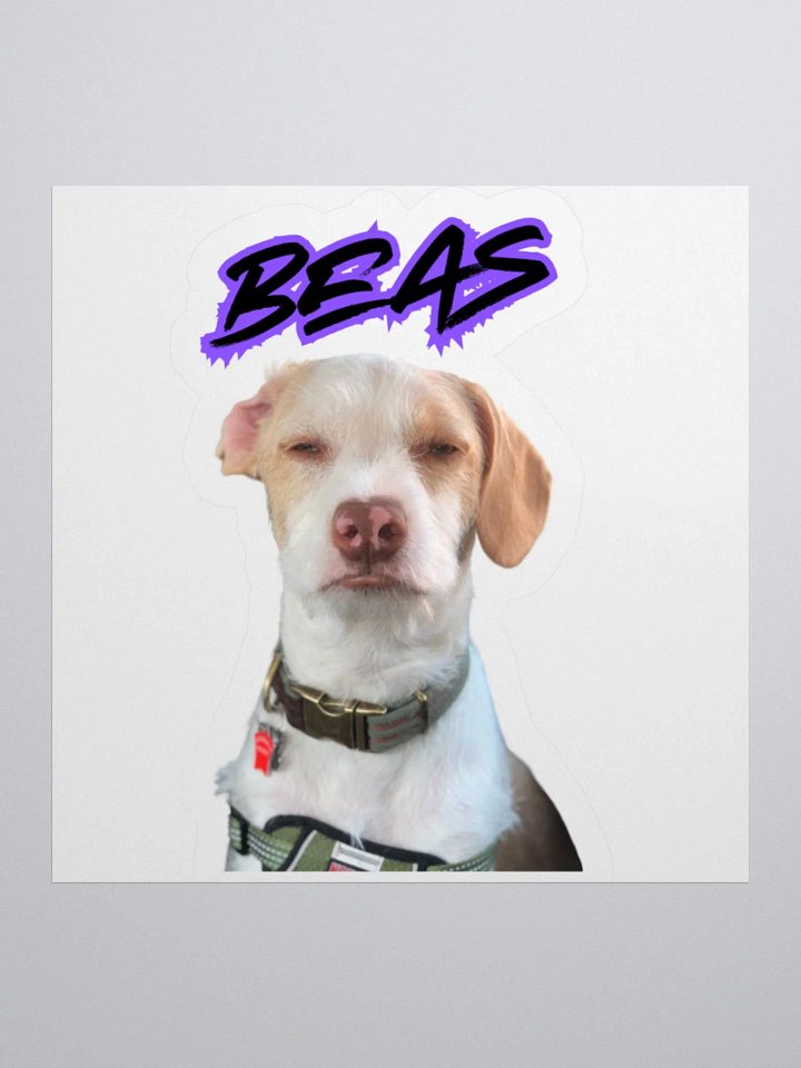 Beasley Judges You product image (1)