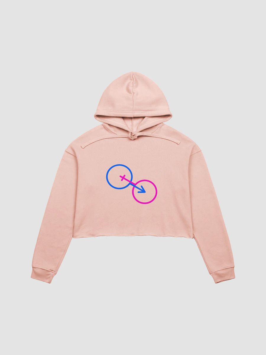 Embracing The Norm Crop Hoodie product image (1)