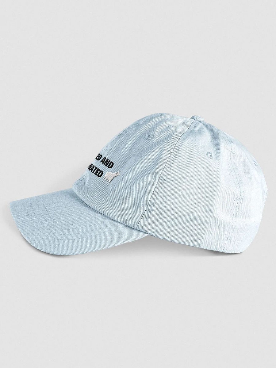 Unhinged & Dehydrated Embroidered Hat product image (9)