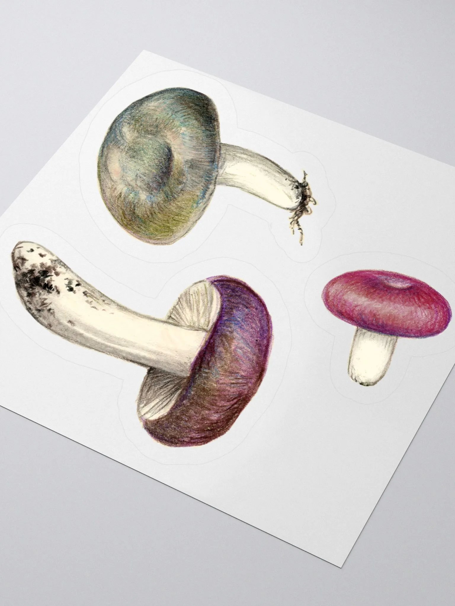 Russula mushrooms stickers product image (1)