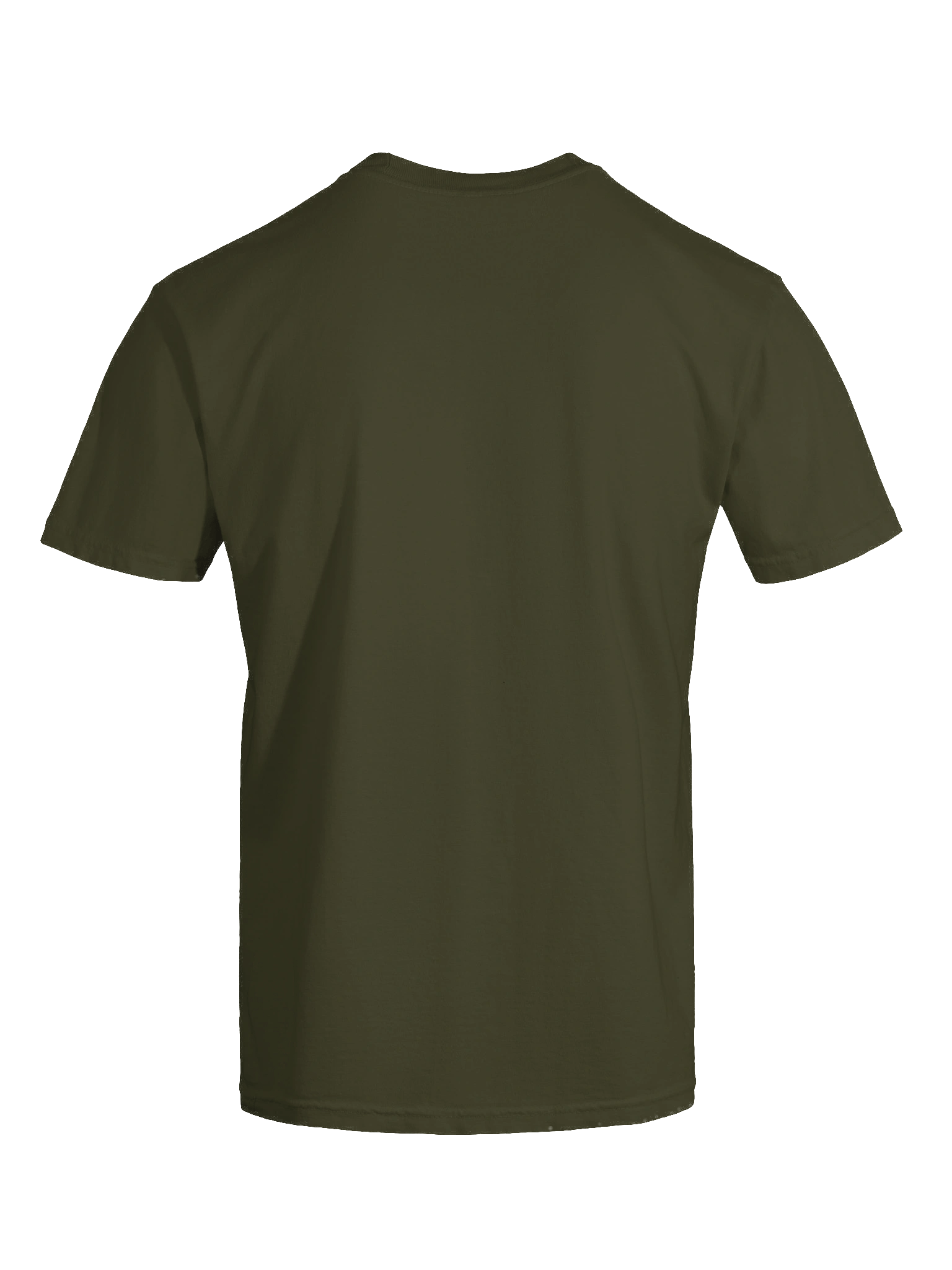 Protect Catholic Kids - T Shirt - Sage product image (9)