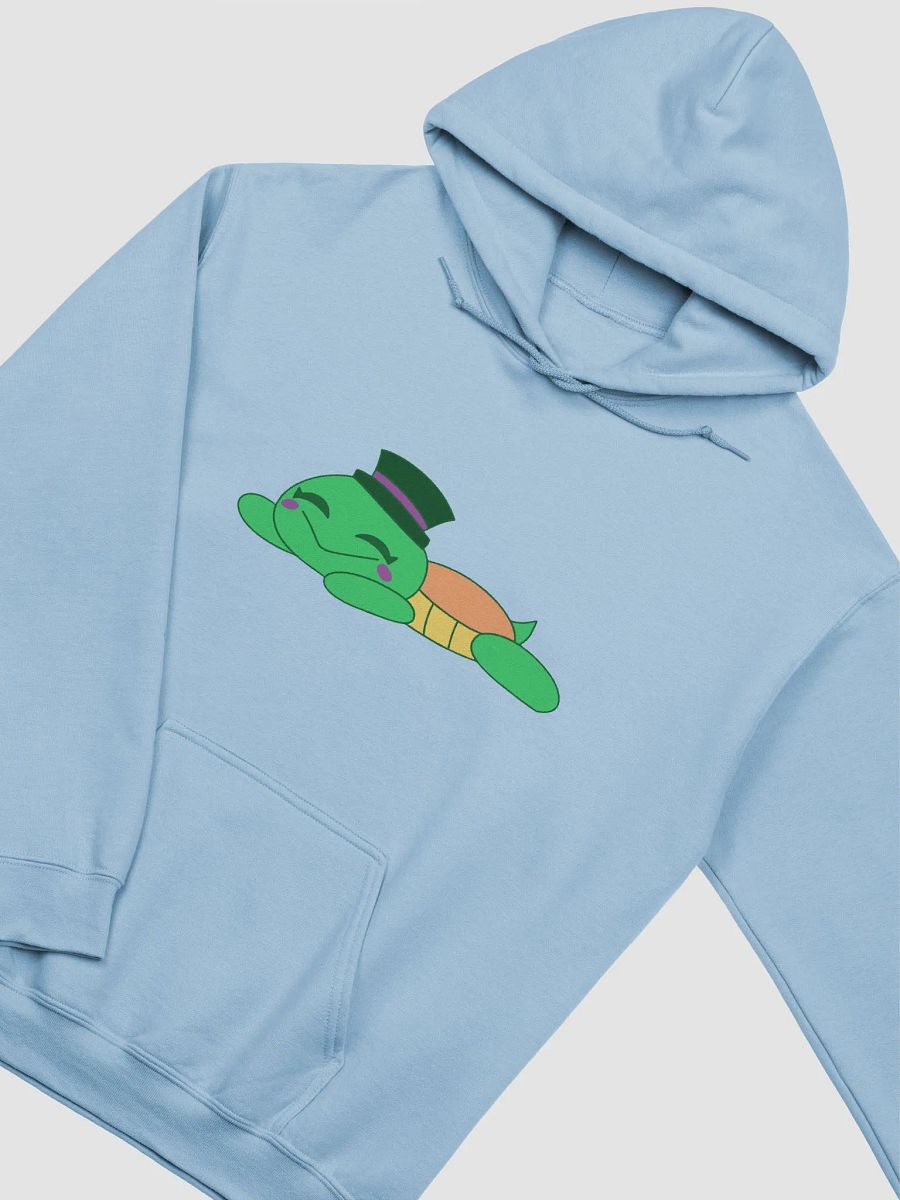 Sleepy Turtle Hoodie product image (6)