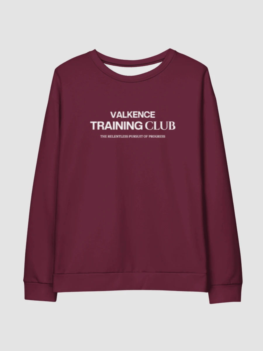 Training Club Sweatshirt - Plum product image (6)
