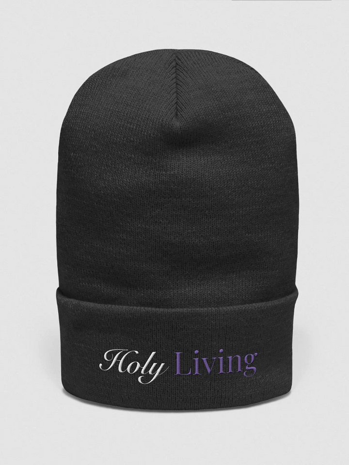 Holy Living Beanie product image (3)
