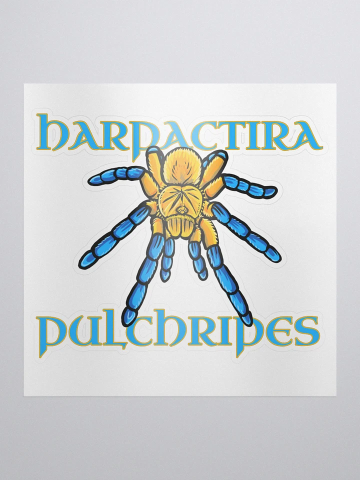 Harpactira pulchripes Sticker product image (1)
