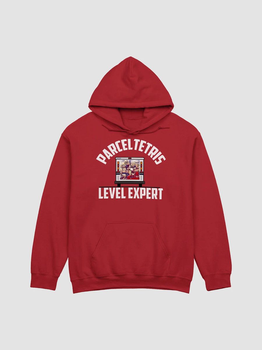 Parceltetris expert UNISEX hoodie product image (4)