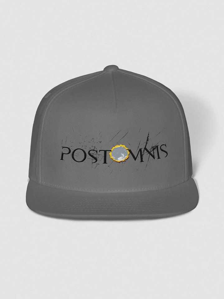PostOmnis - Hat product image (3)