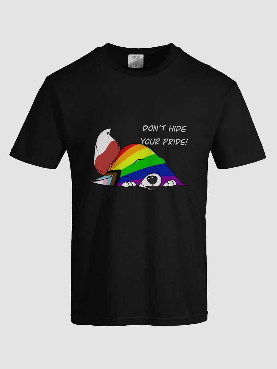 Dont Hide YOUR PRIDE!!! product image (5)
