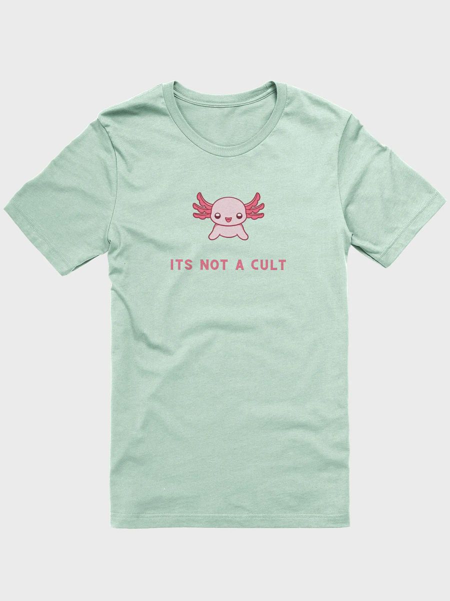 NOT A CULT Soft Tshirt product image (5)