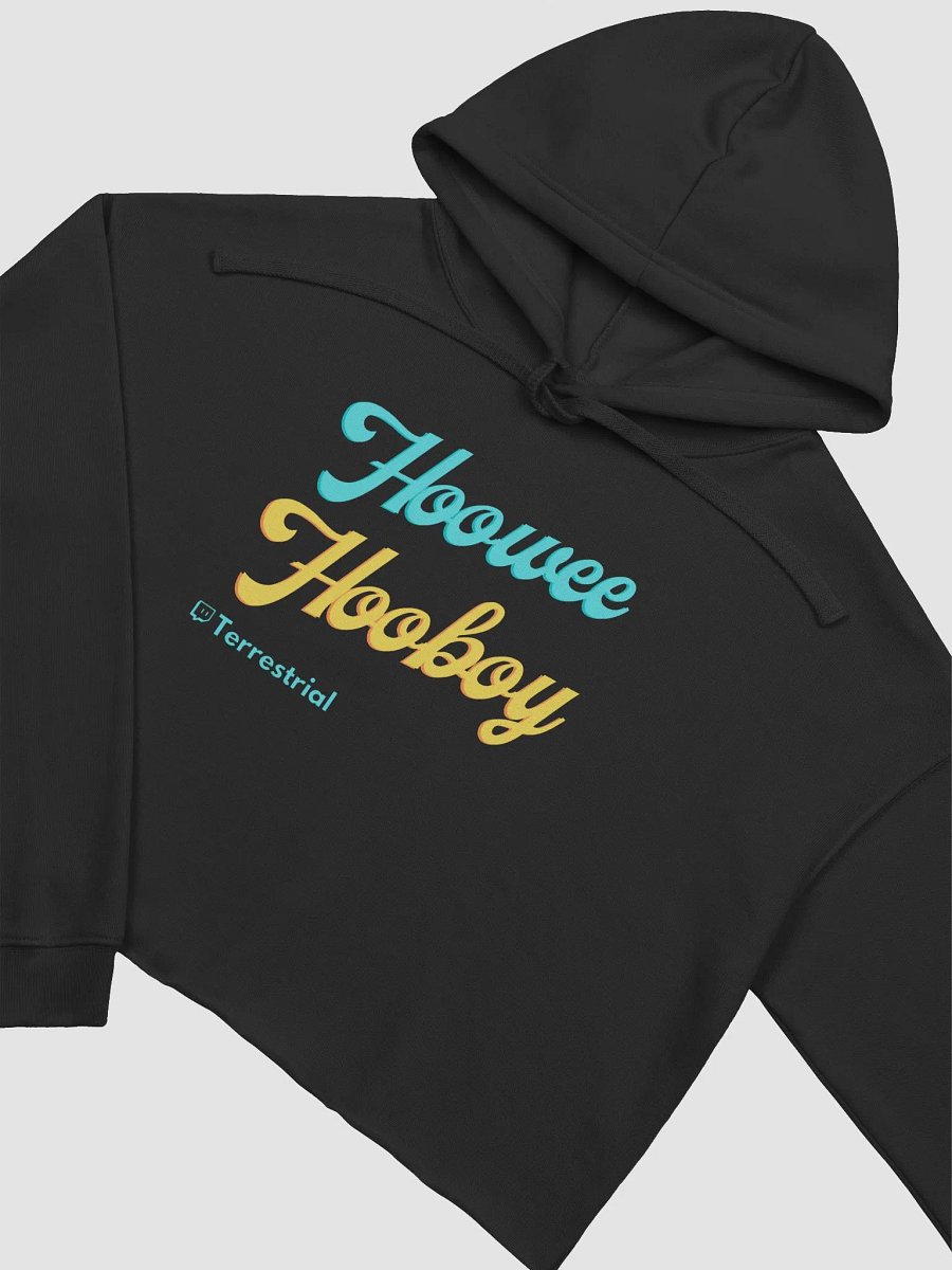Hooboy Crop Hoodie product image (5)