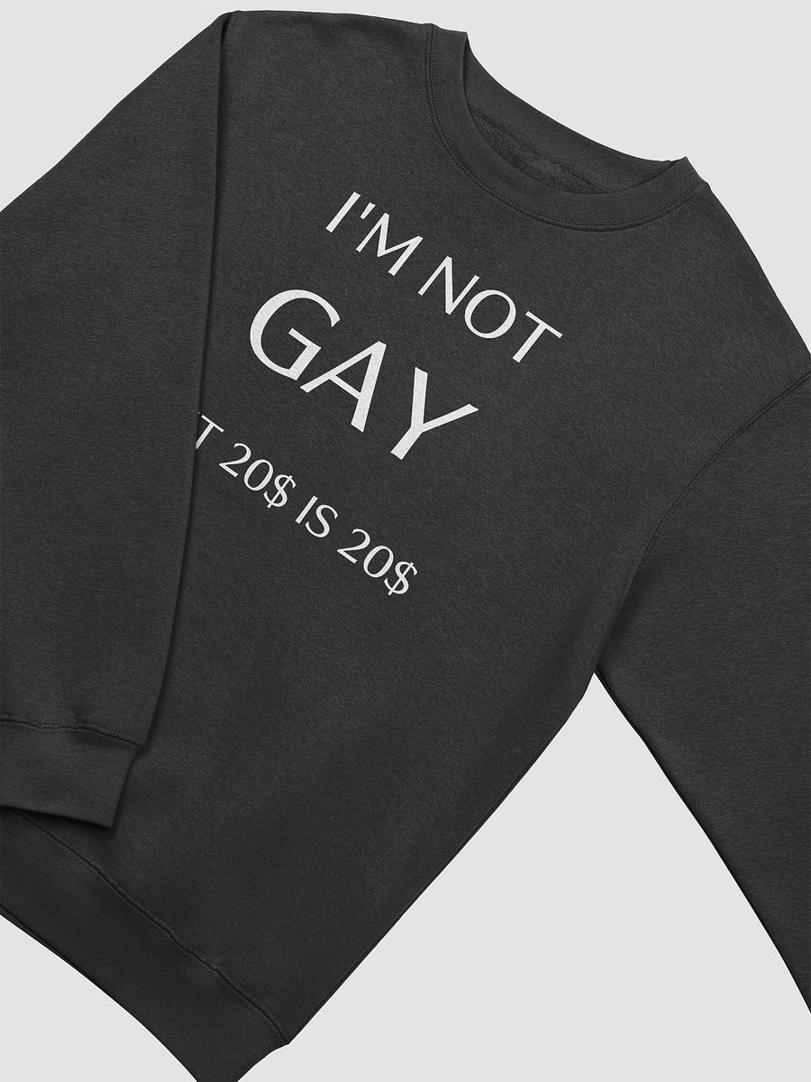 I'm not gay but 20$ is 20$ product image (3)