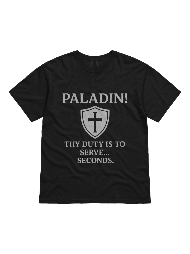 PALADIN product image (13)