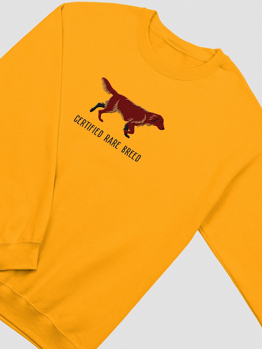 Certified Rare Breed Sweatshirt (Embroidered) of a Flat Coated Retriever(Chocolate) product image (12)