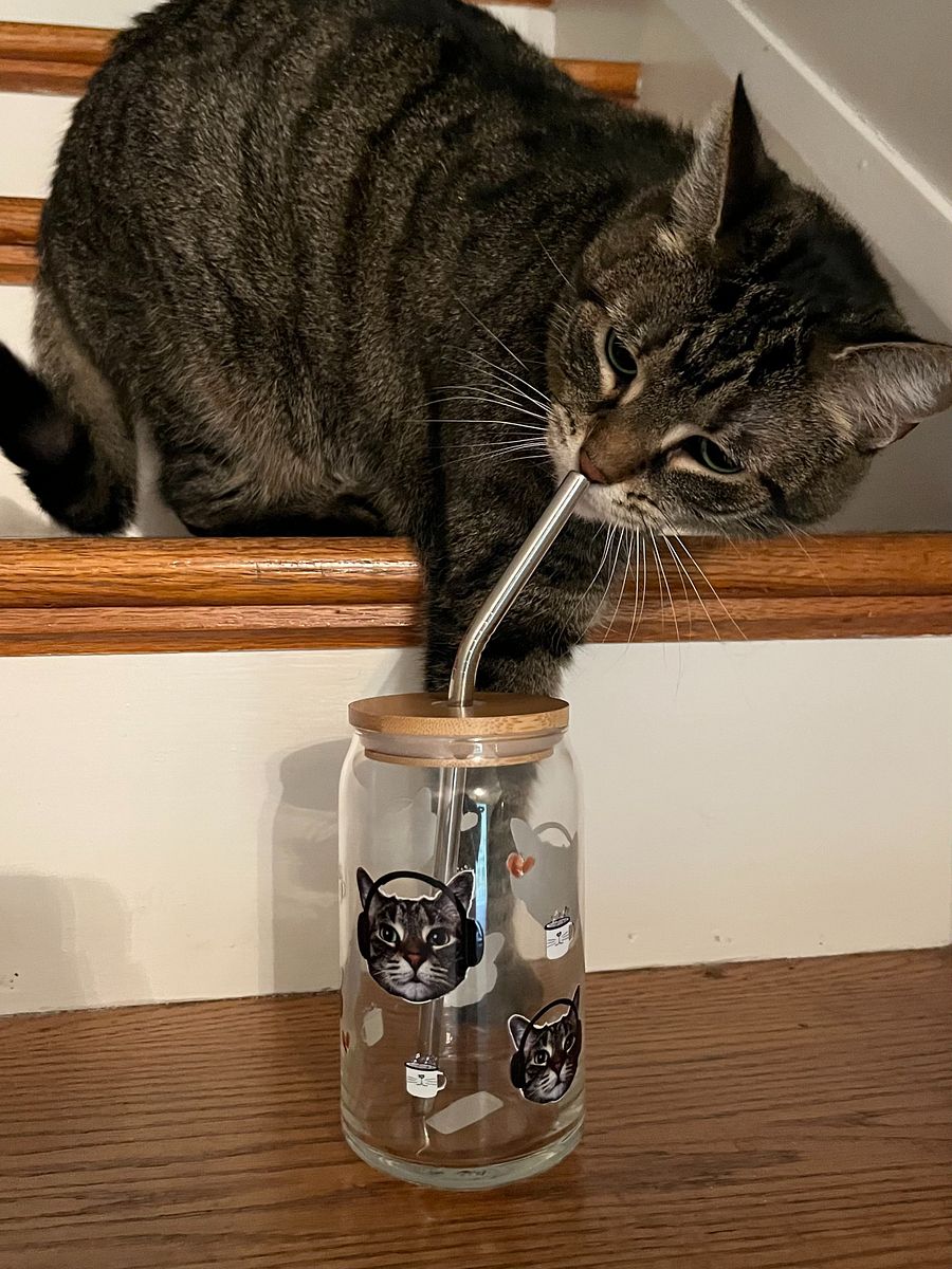 The "Rock On, Mocha" Glass 🐾 product image (5)