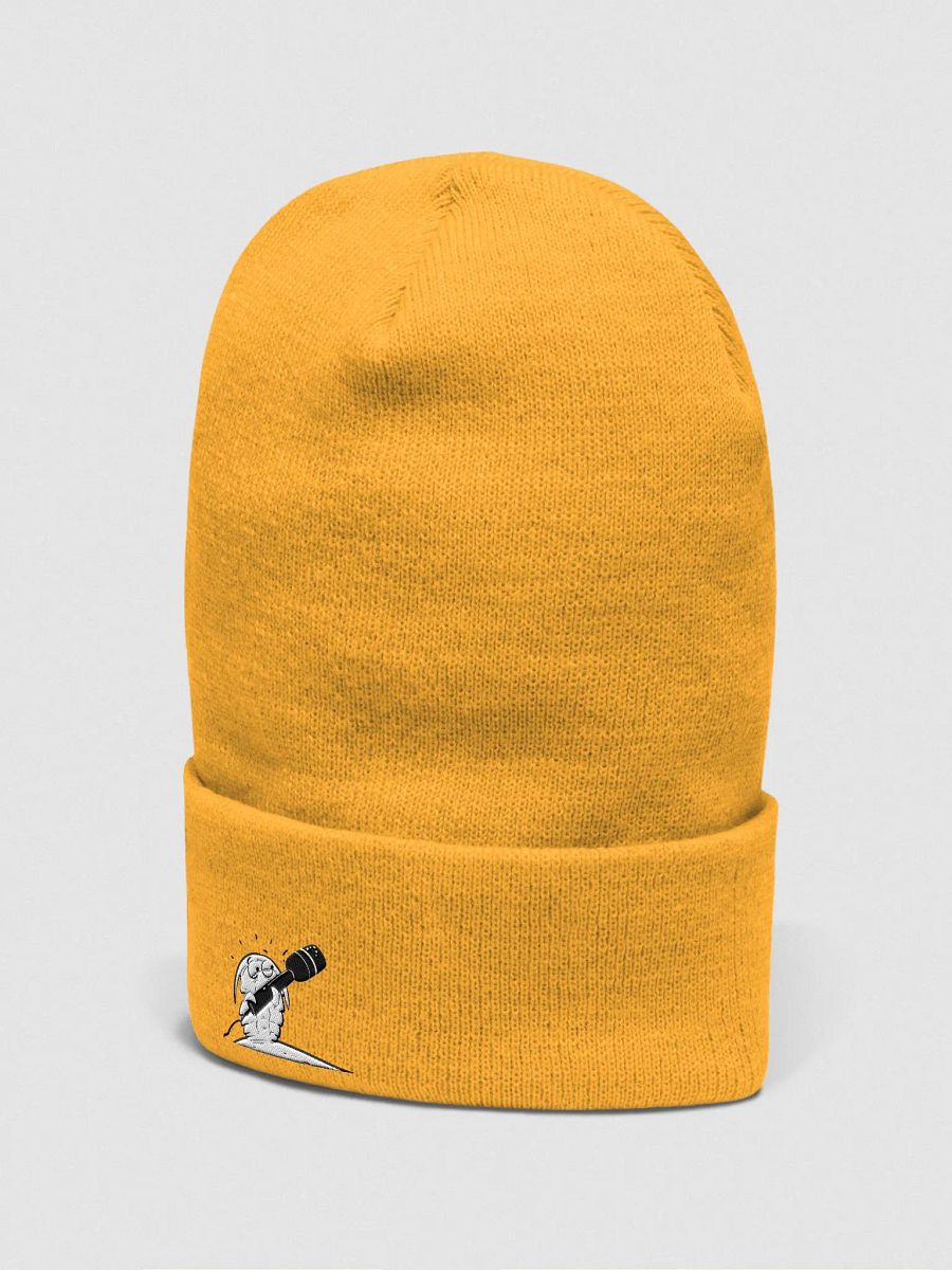 Skitters Beanie product image (2)