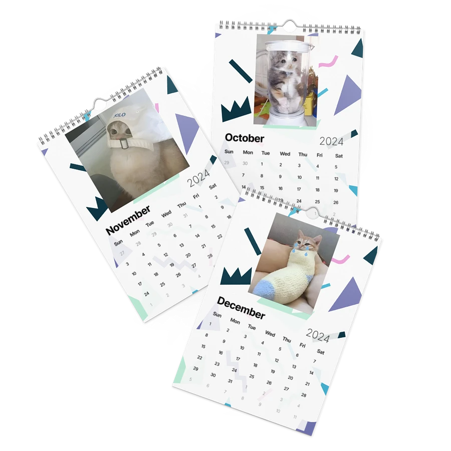 Wall Calendar (2024): Meme Cats product image (17)