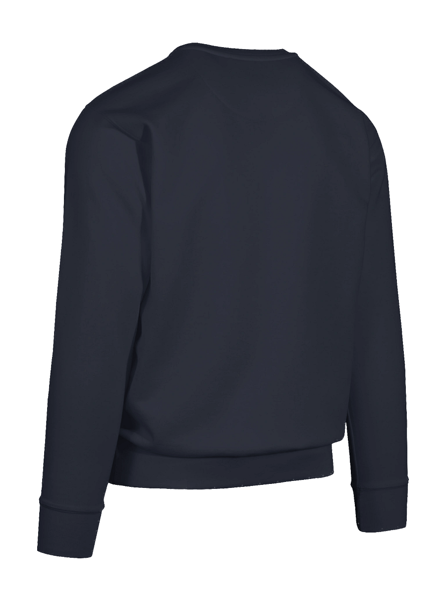 Flight of the Cinnamon Hummingbird Premium Sweatshirt product image (12)