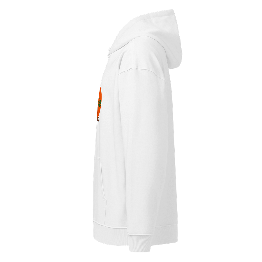 Organic Tree Spirit Relaxed Hoodie product image (6)