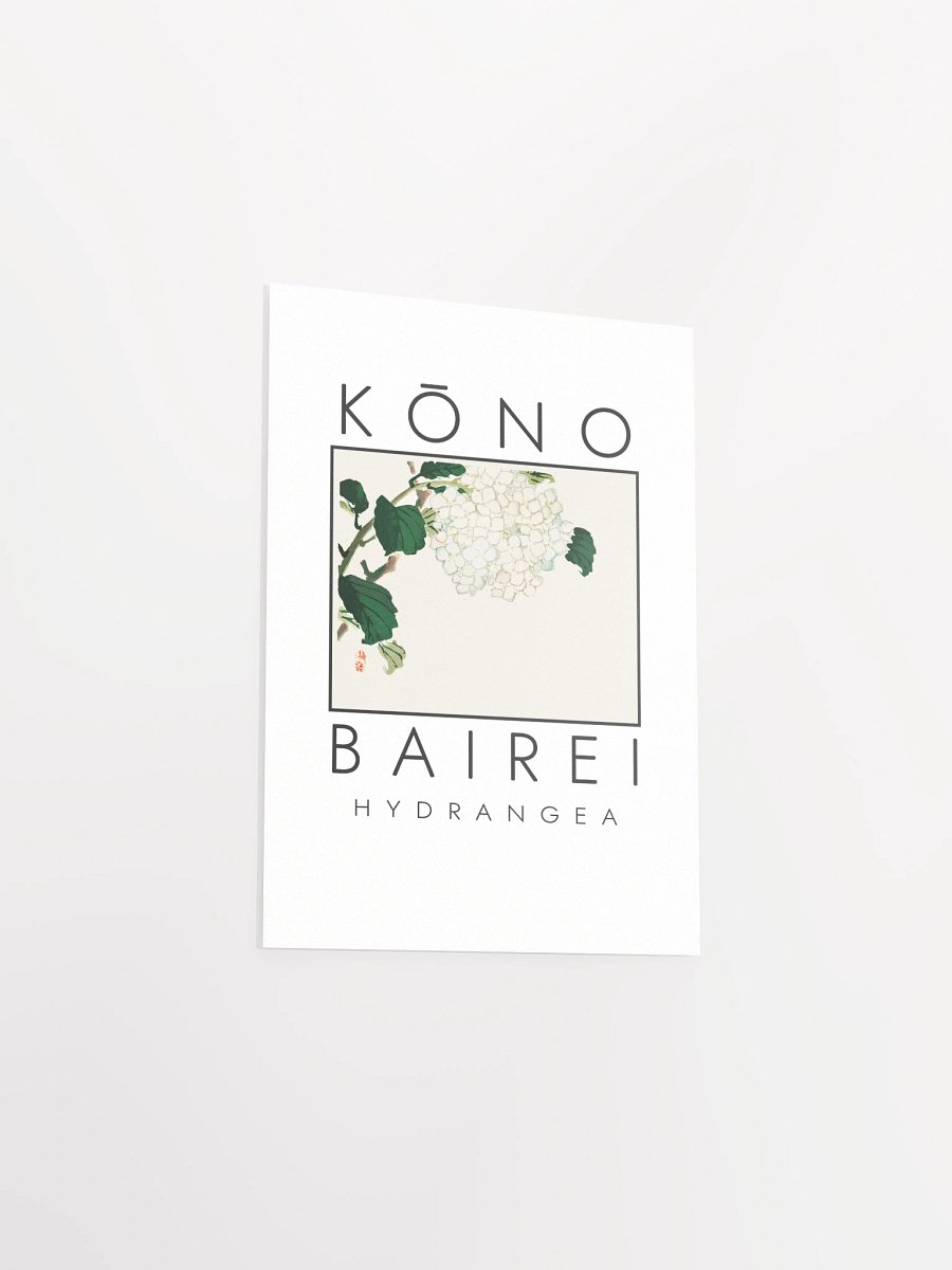 Kono Bairei Hydrangea Flower Poster product image (4)