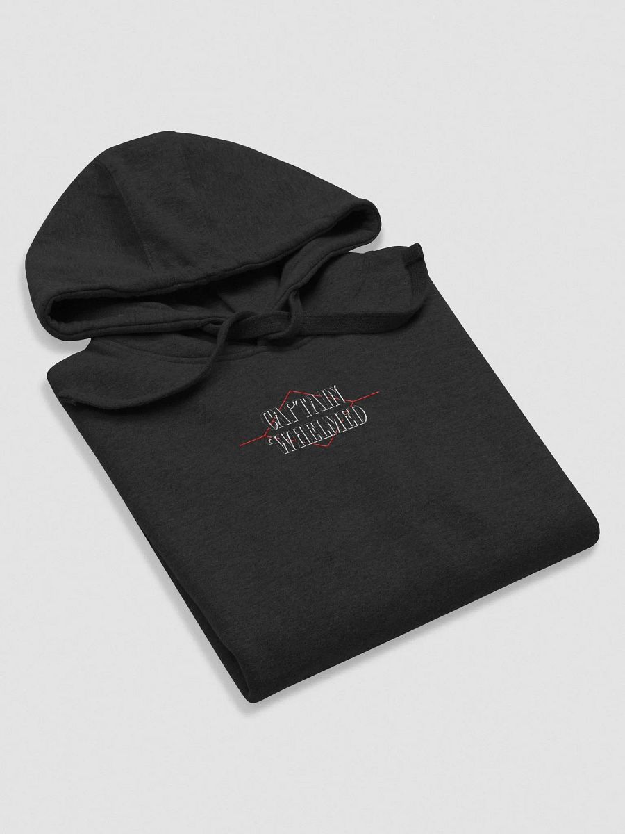 Embroidered Logo Hoodie product image (5)