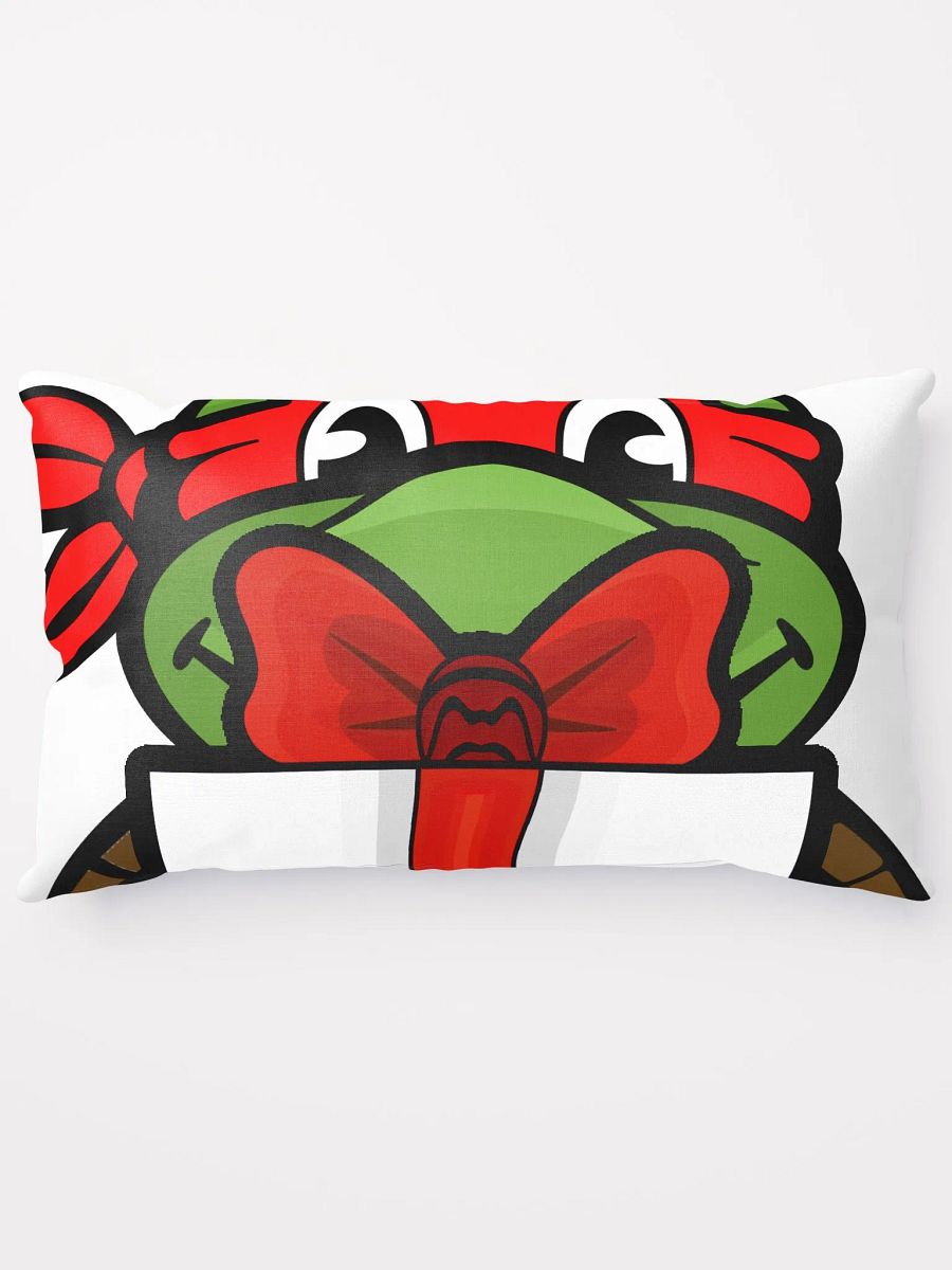 Present Raph Pillow product image (1)