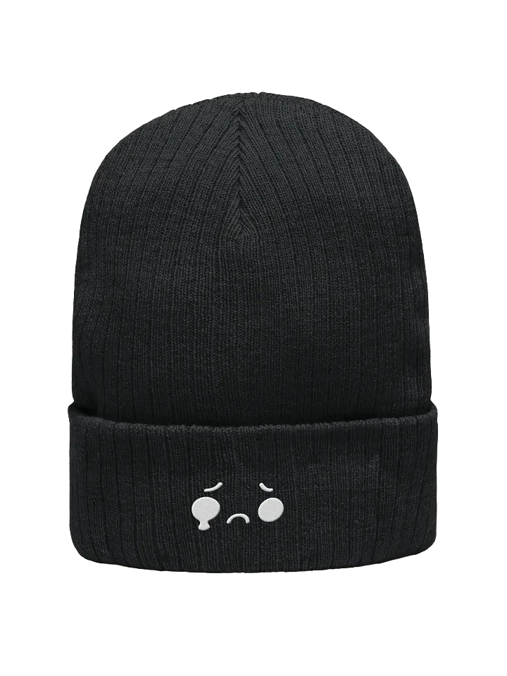 Temporary Beanie product image (2)