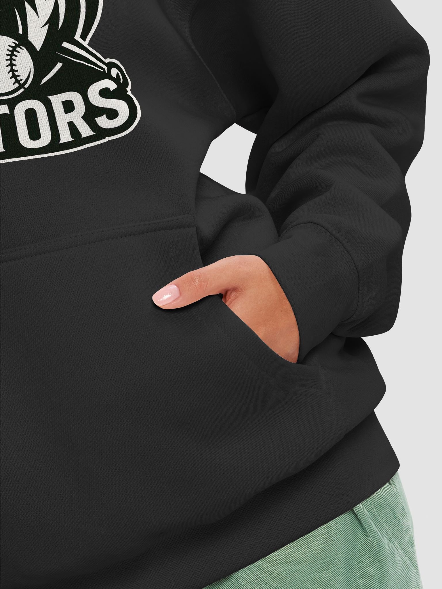 Raptors - Hoodie product image (60)