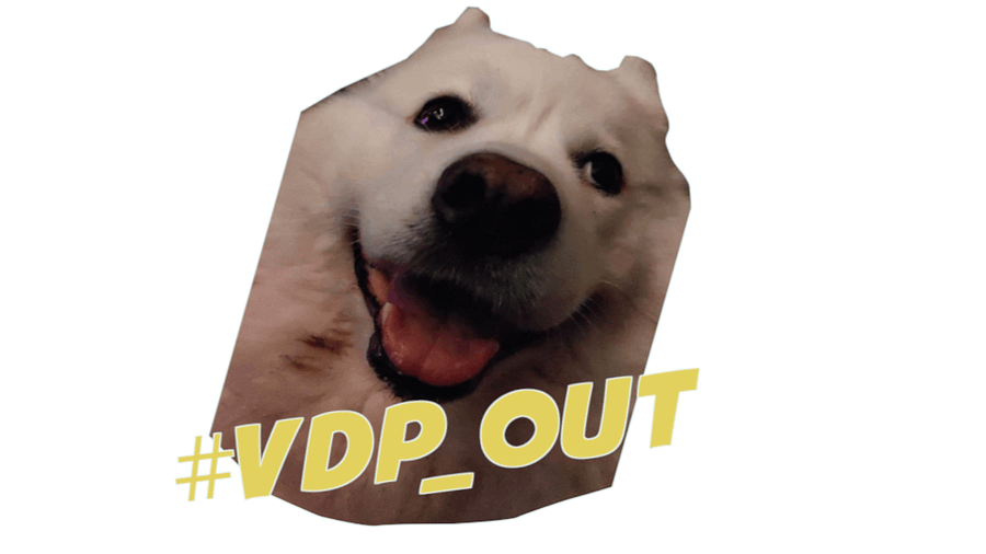 VDP_out ( Champion Hoodie ) product image (5)